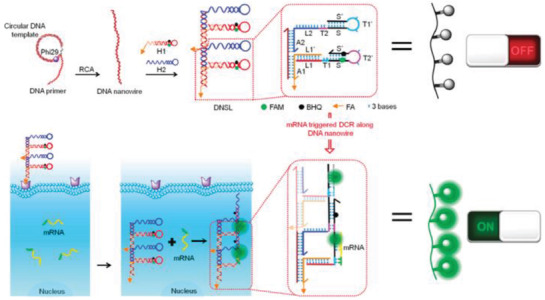 Figure 14