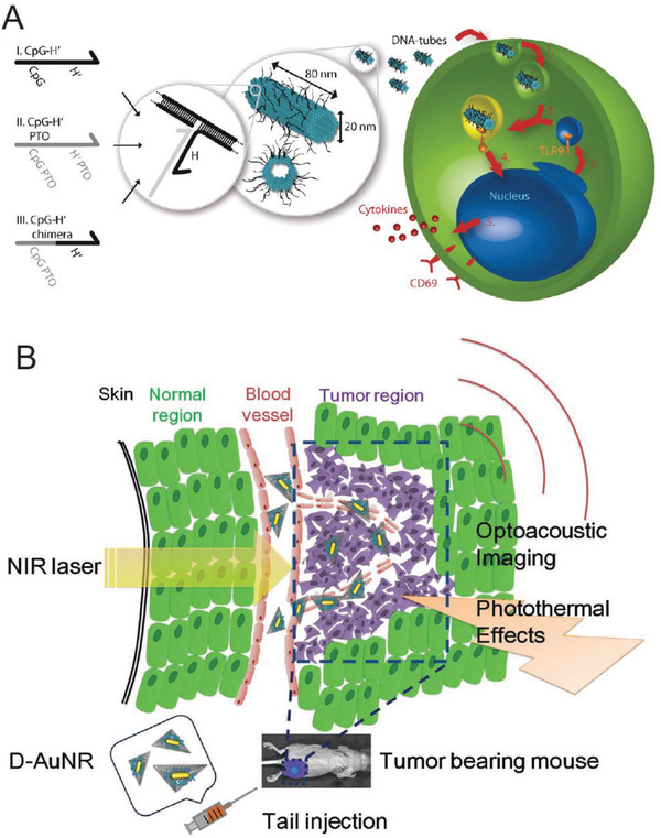 Figure 25