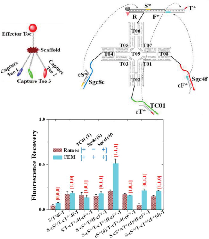 Figure 21