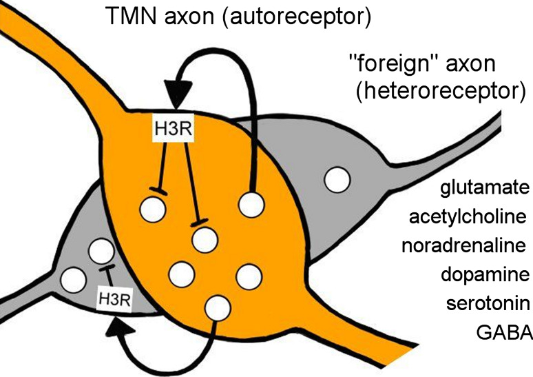Fig. 3