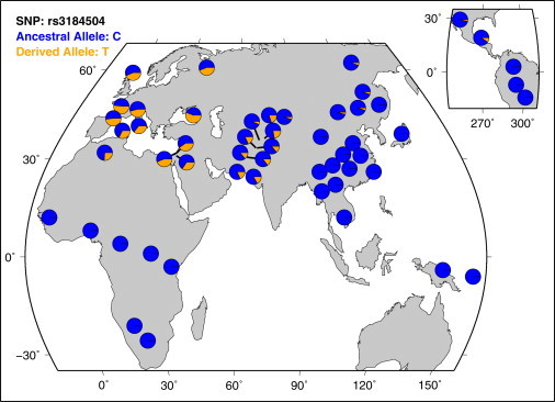 Figure 3