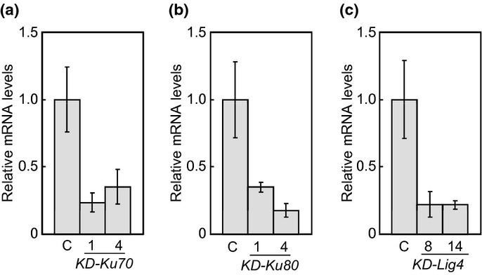 Fig 1