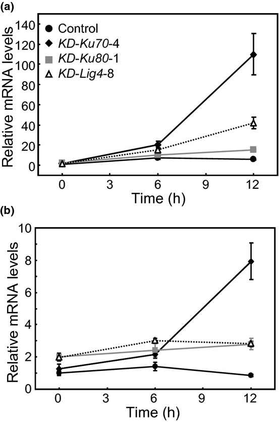 Fig 5