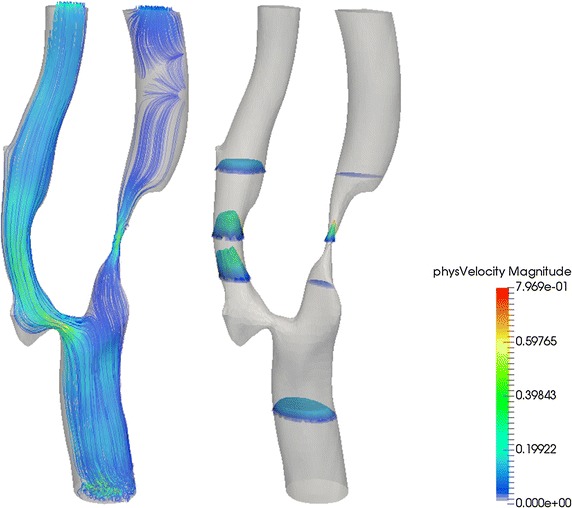 Fig. 7