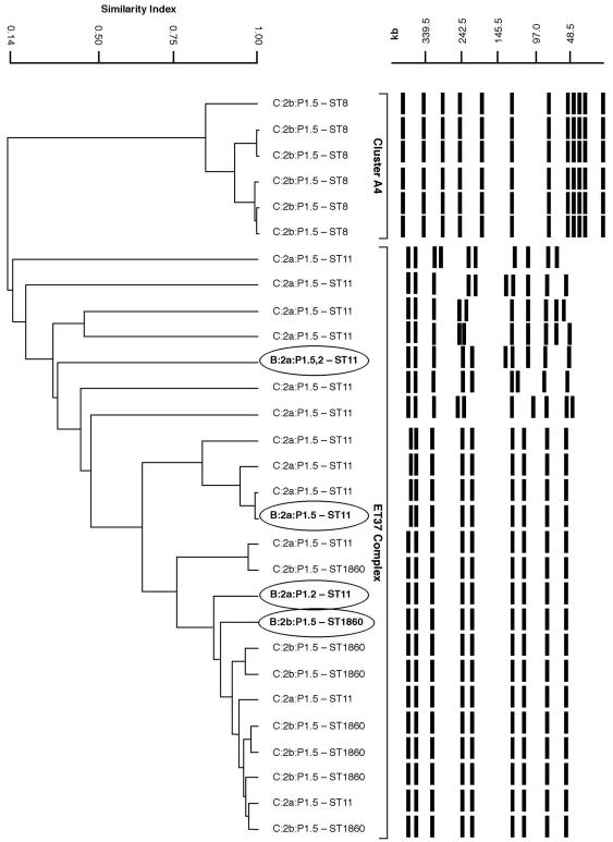 FIG. 1.