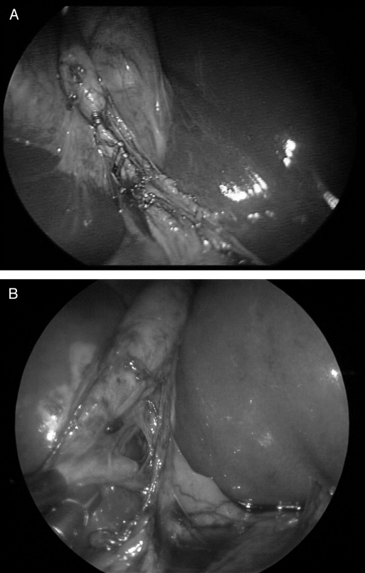 Figure 10.