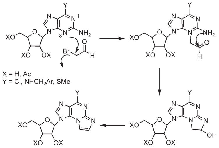 Scheme 5