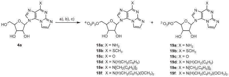 Scheme 6