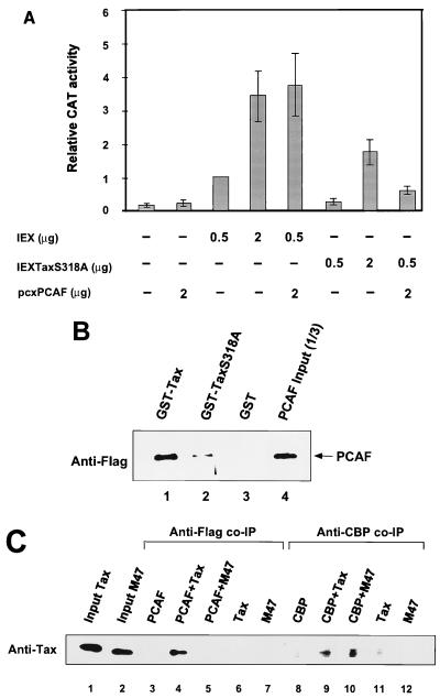 FIG. 5