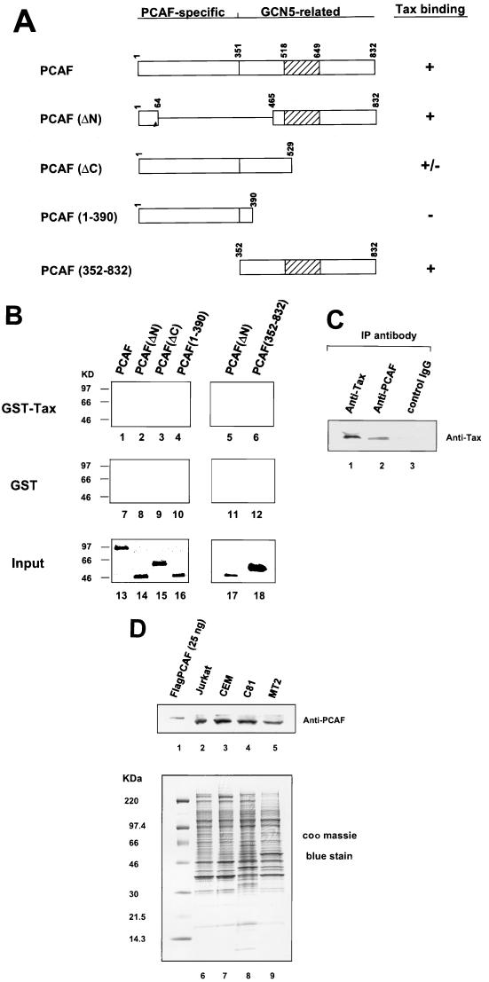 FIG. 1