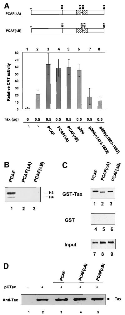 FIG. 7