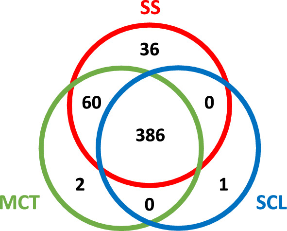 Fig. 5