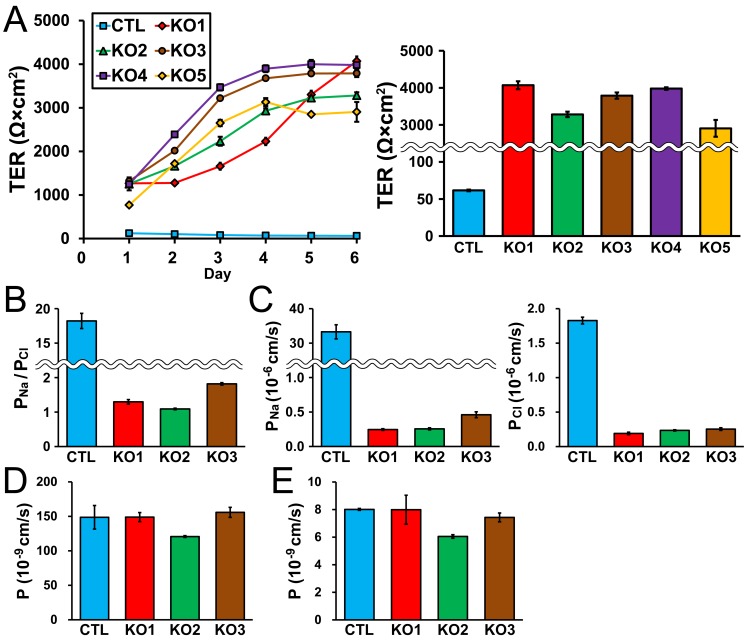 Fig 6