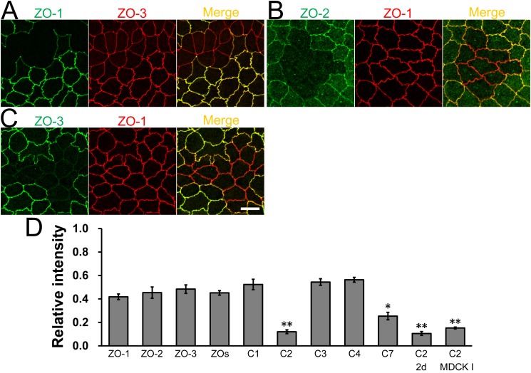 Fig 12