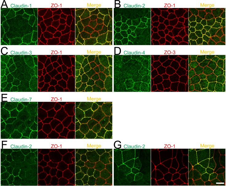 Fig 11