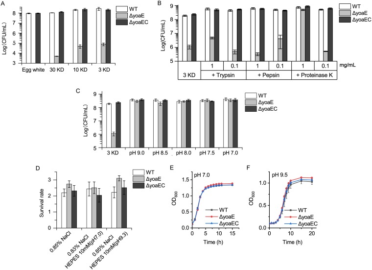 FIG 2