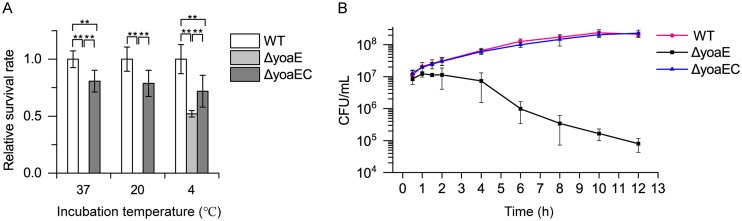 FIG 1