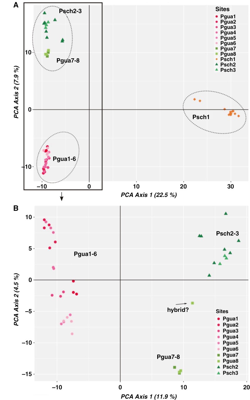 Fig. 3.