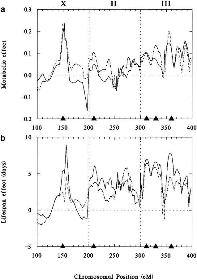 Figure 5.—