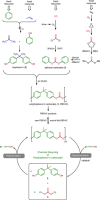 Scheme 1