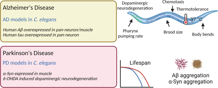 Fig. 4