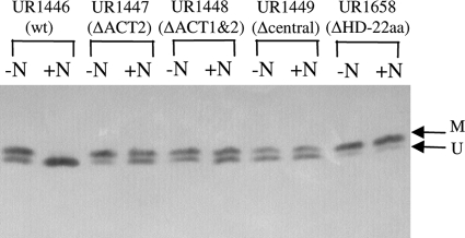 FIG. 2.