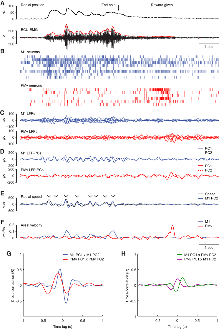 Figure 6