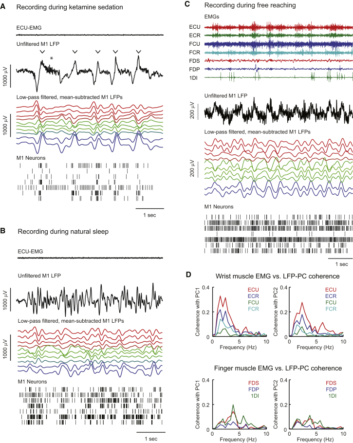 Figure 3