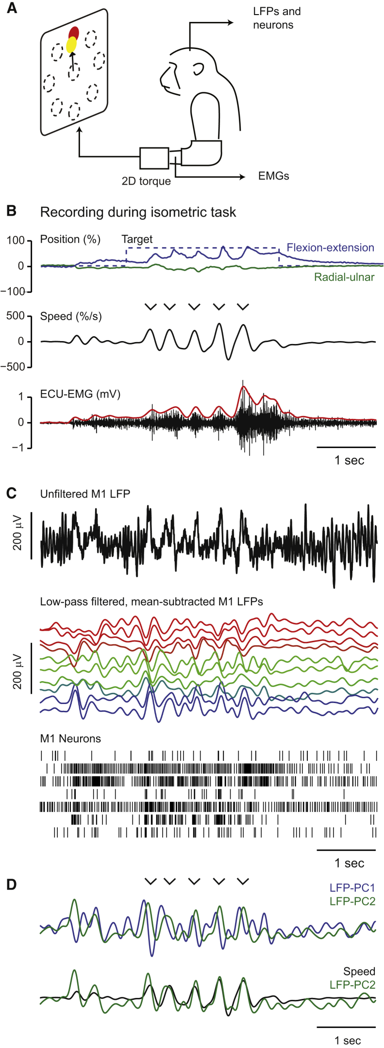 Figure 1