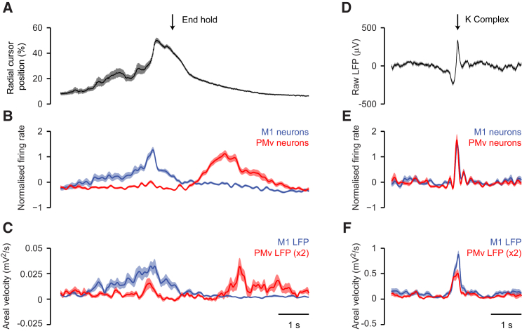 Figure 7