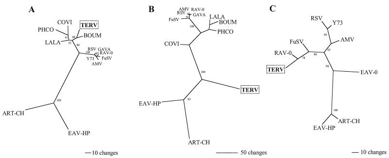 FIG. 4