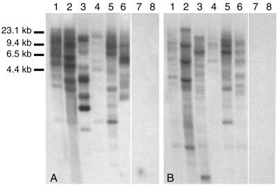 FIG. 5