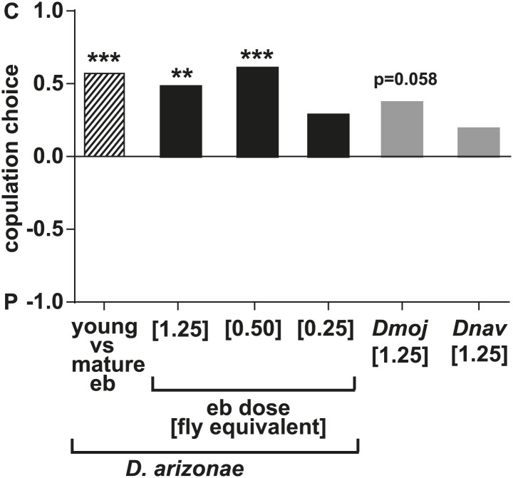 Figure 5—figure supplement 3.