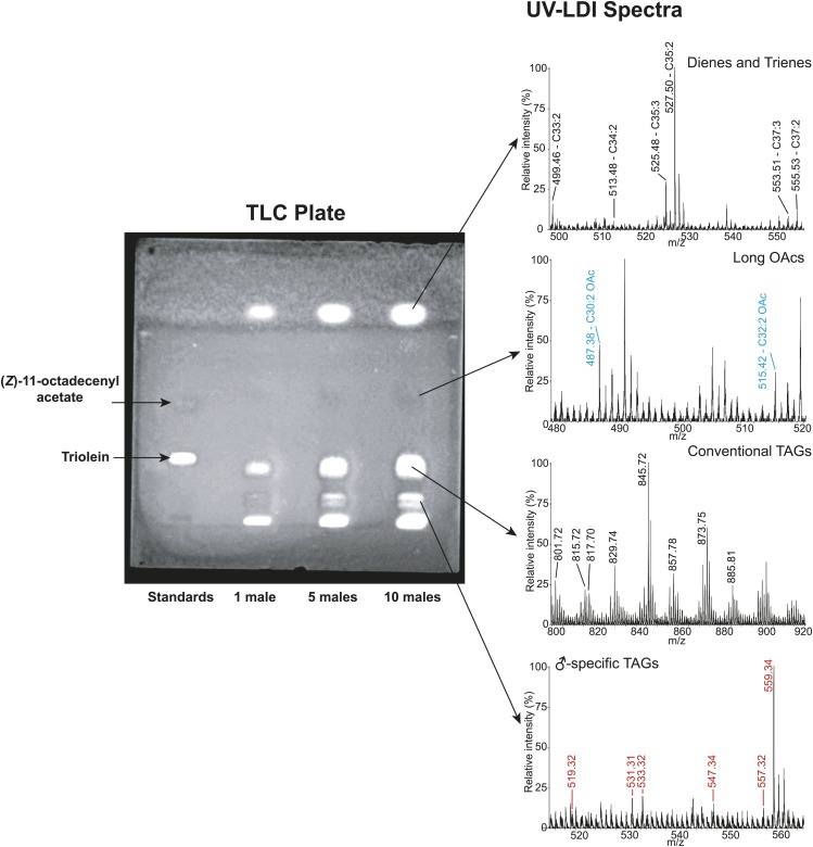 Figure 3—figure supplement 1.