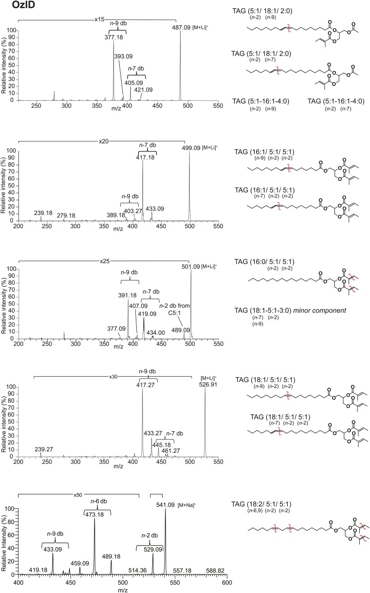 Figure 3—figure supplement 5.