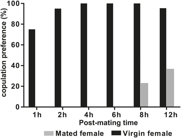 Figure 5—figure supplement 2.