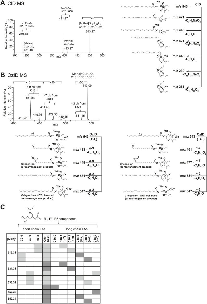 Figure 3.