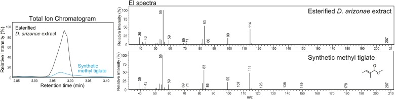 Figure 3—figure supplement 3.