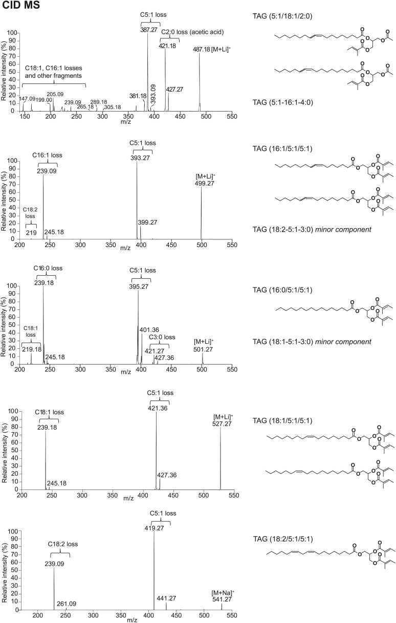 Figure 3—figure supplement 4.