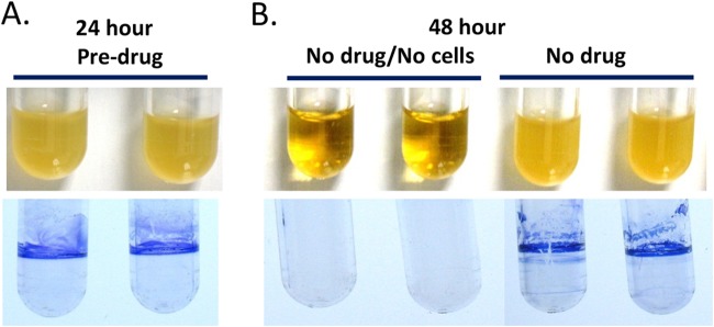 FIG 1