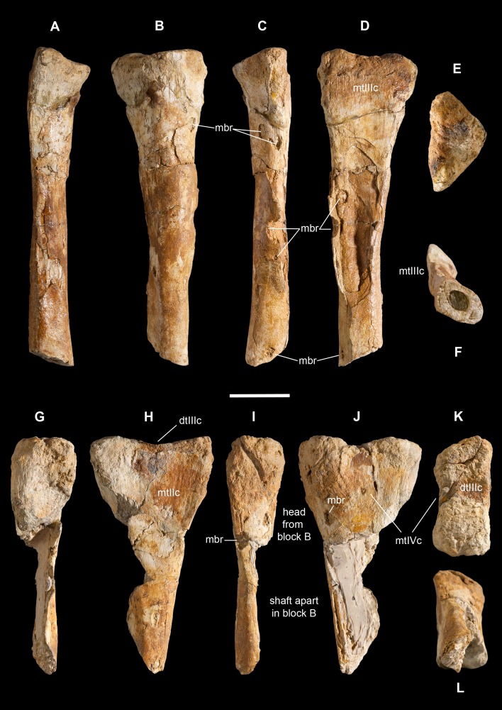 Figure 12