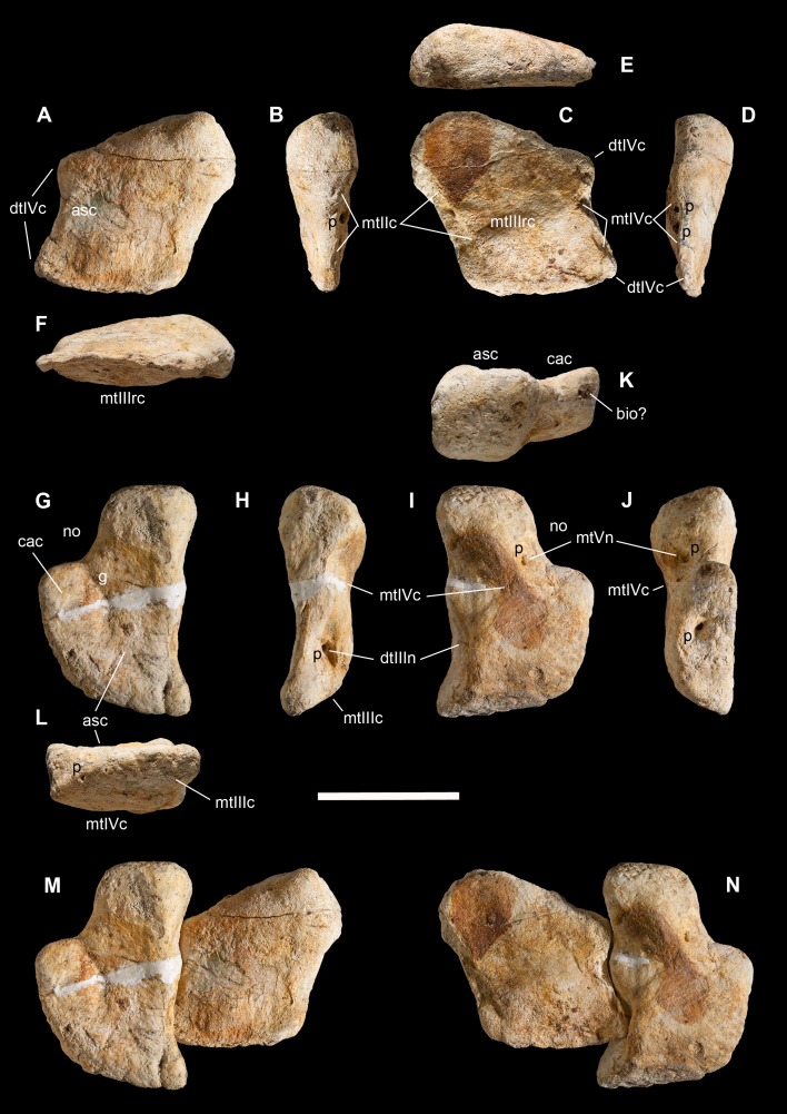 Figure 11