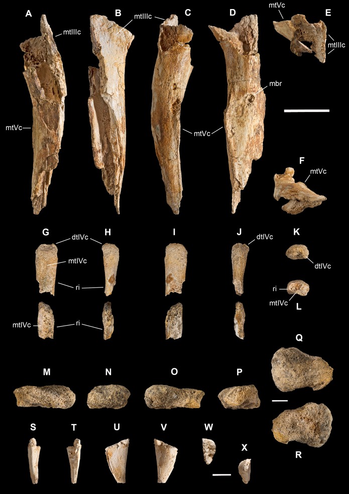 Figure 13