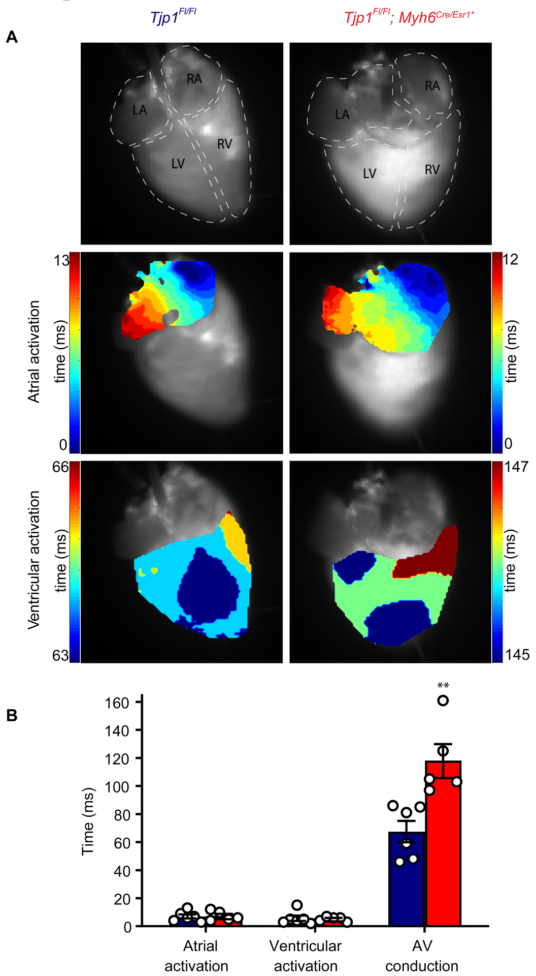 Figure 3: