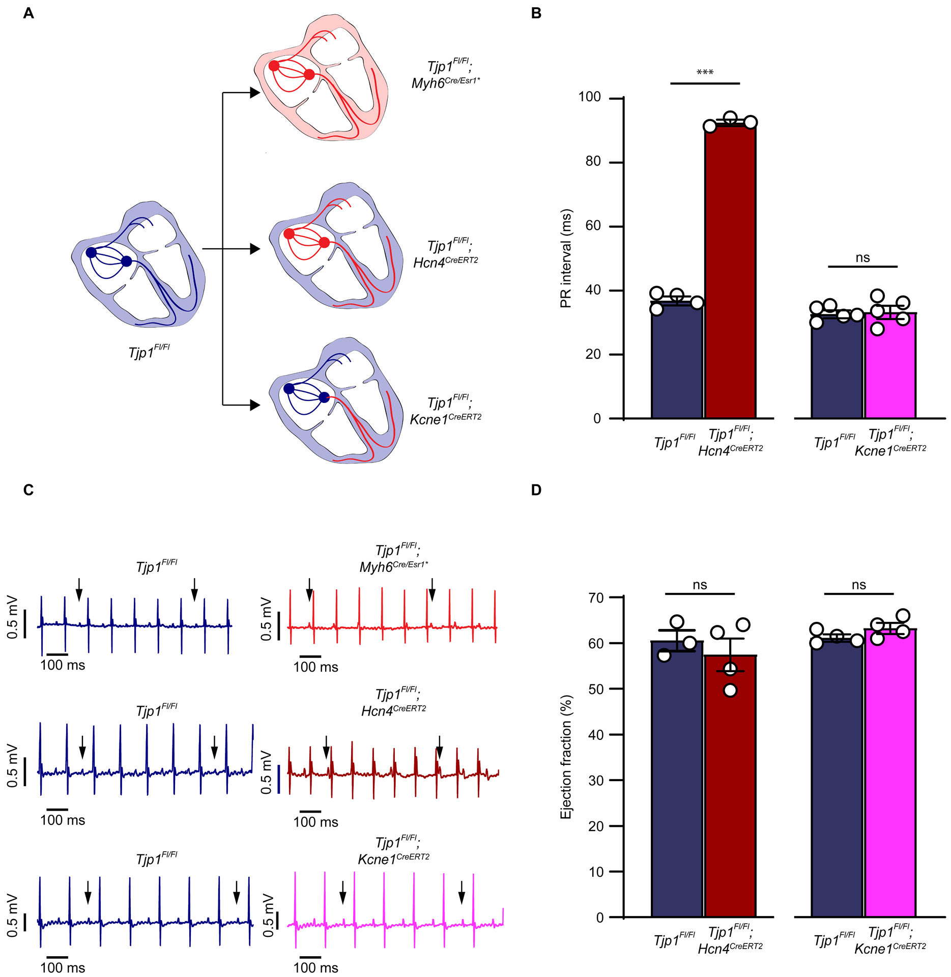 Figure 6: