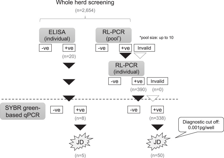 FIG 2