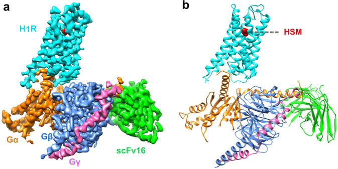 Fig. 1