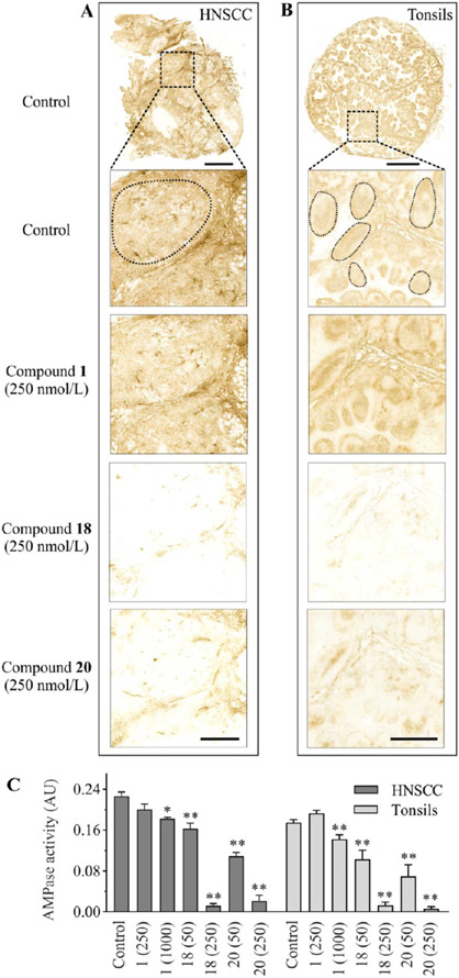 Figure 10.