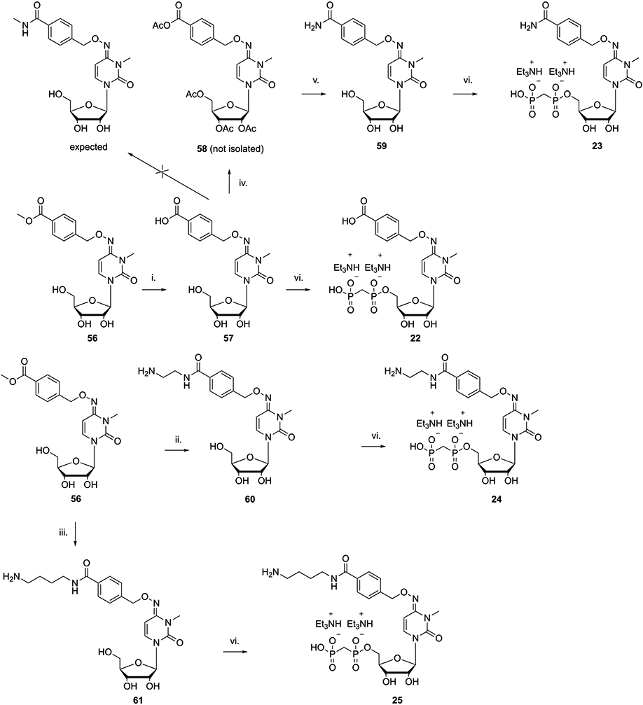 Scheme 2.