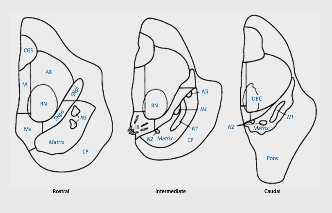 Figure 3.